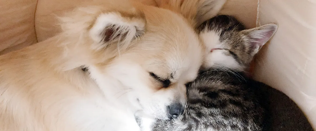 一緒にできること